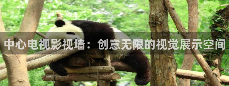 八戒八戒电影高清