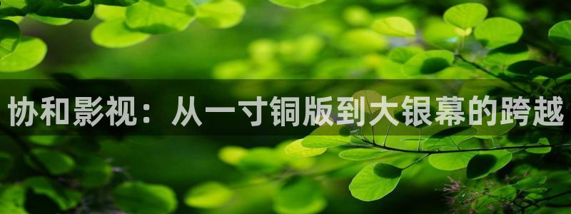 八戒午夜神马影院