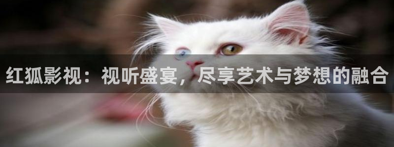 八戒八戒电影在线