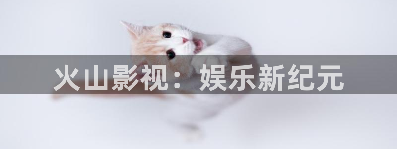 八戒八戒电影免费看