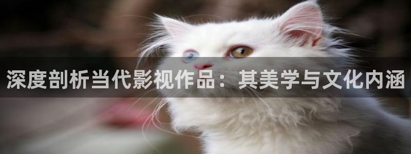 八戒影视在线观看免费完整版