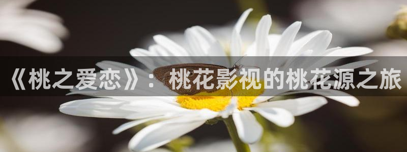 八戒女人影院