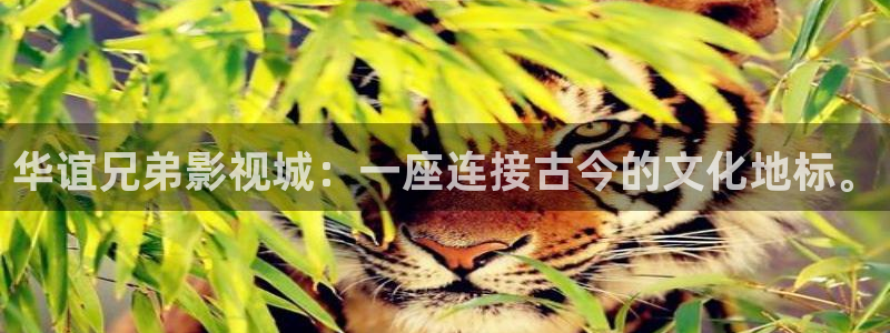 八戒影院www