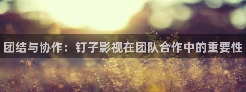 八戒·八戒电影免费播放
